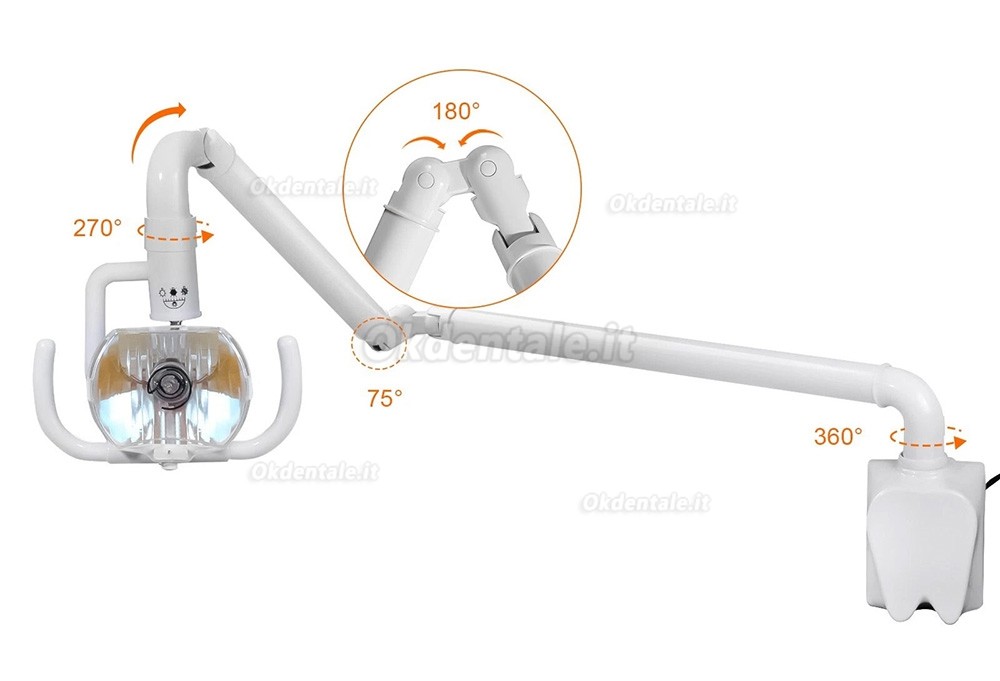 Lampada dentale orale da 50 W, lampade diagnostiche, a parete, a luce fredda